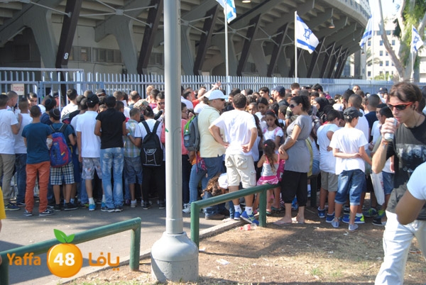 blomfeiled 803 (10).JPG